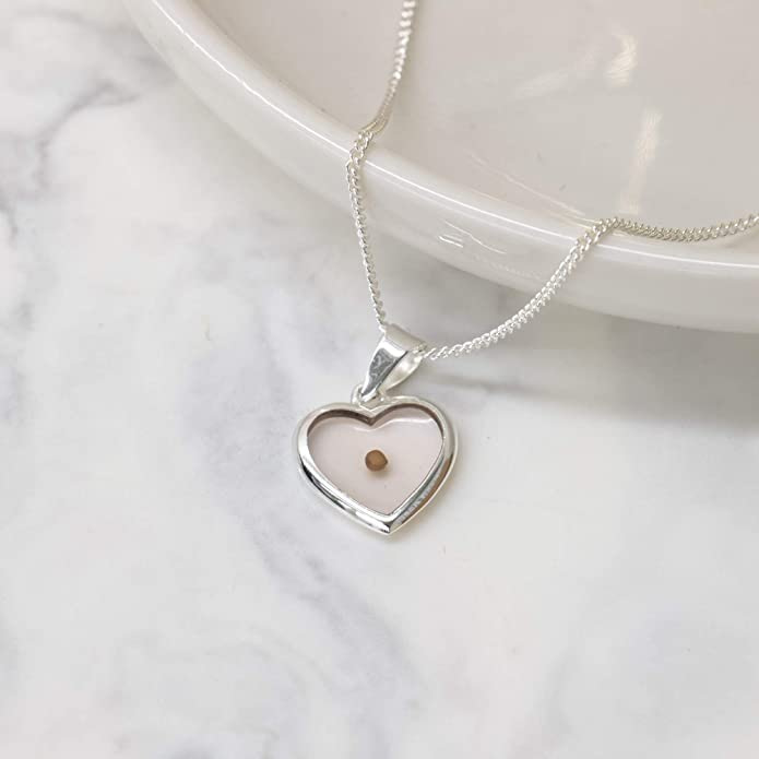 Silver Heart-Shaped Mustard Seed Necklace